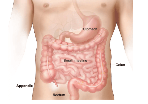 Appendix